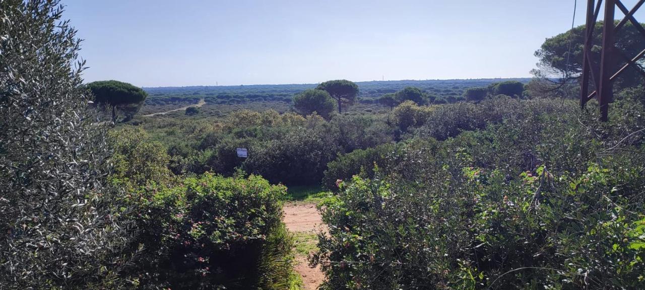 Casa En Loma Sancti Petri A 900 M De La Playa De La Barrosa Βίλα Chiclana de la Frontera Εξωτερικό φωτογραφία